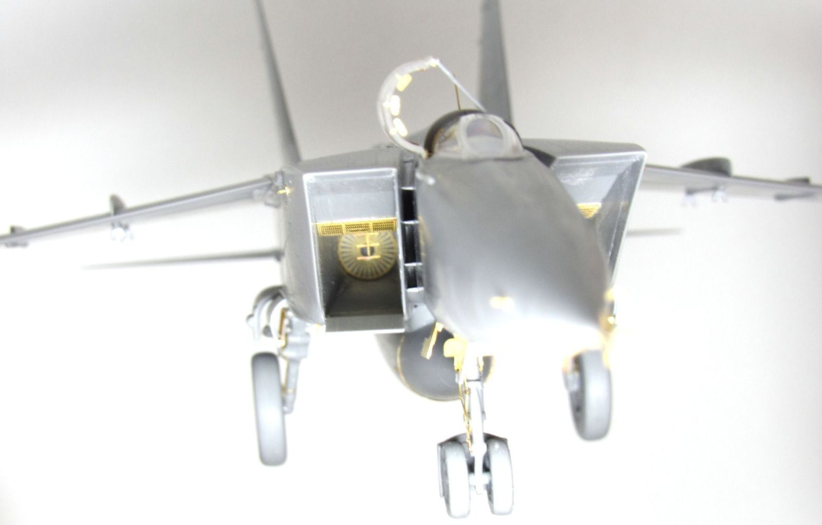 MiG-25 all types (ICM) - imodeller.store
